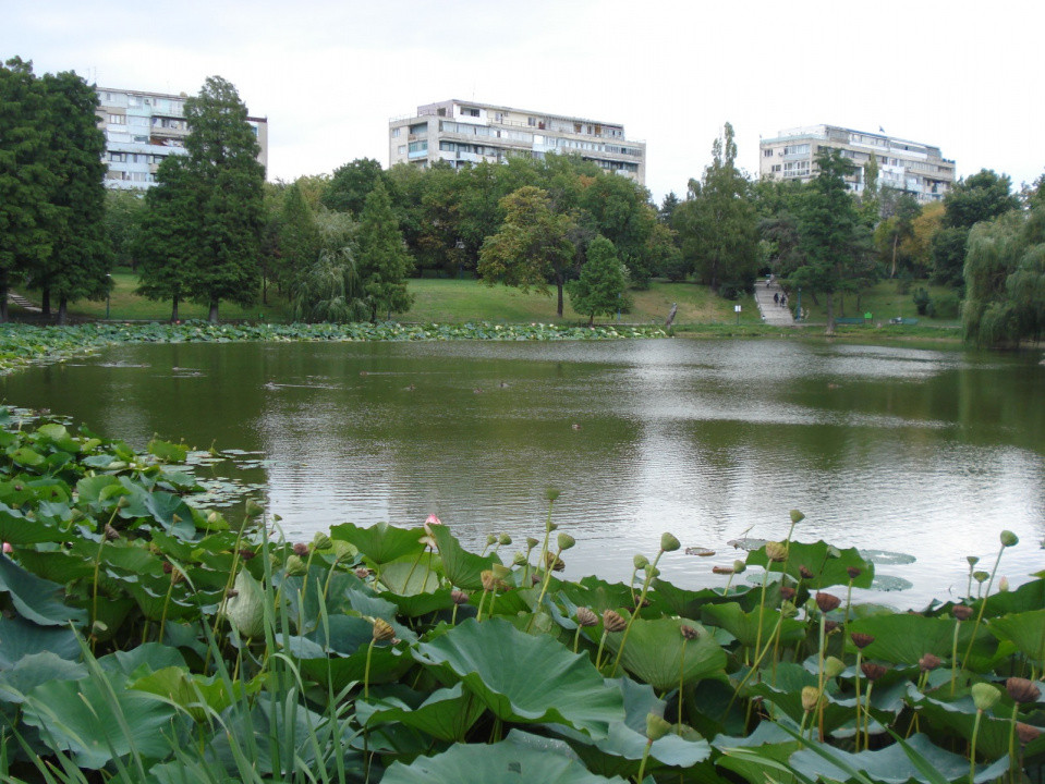 Apartament 3 camere | Tei | Parcul Circului | vedere parc | 