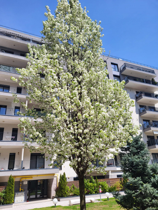 Apartament 2 camere Arcadia Residence | prima chirie | totul nou |