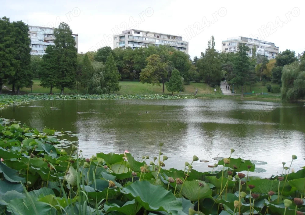 Apartament 3 camere Parcul Circului | Tei | cu vedere la parc |